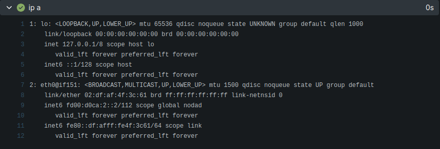 ip a output showing only IPv6 inside the job container